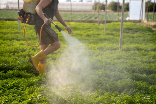 Best Best Pest Control Companies  in Goulds, FL