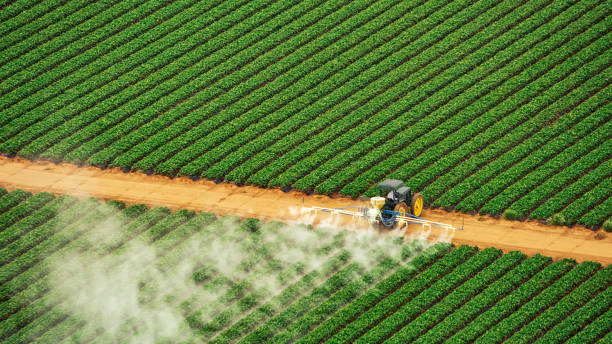 Best Pest Prevention Services  in Goulds, FL