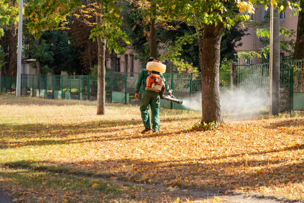 Best Residential Pest Control  in Goulds, FL