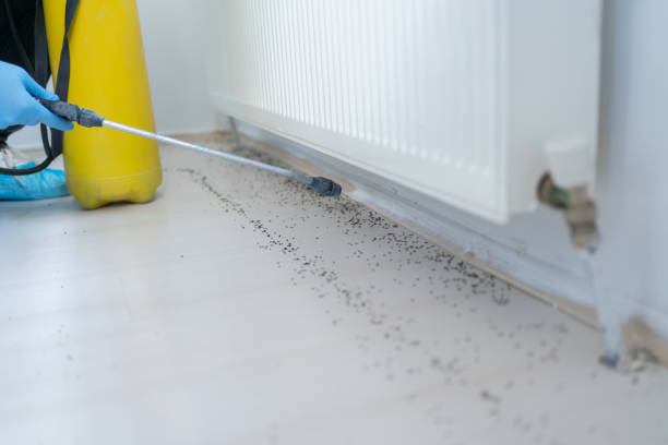 Best Wildlife Control Services  in Goulds, FL